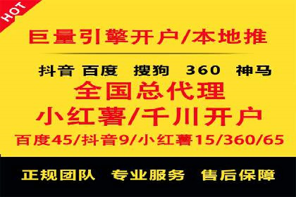 SEM推广实战：成功案例剖析